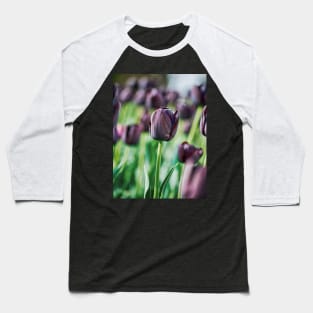 Black Tulip Baseball T-Shirt